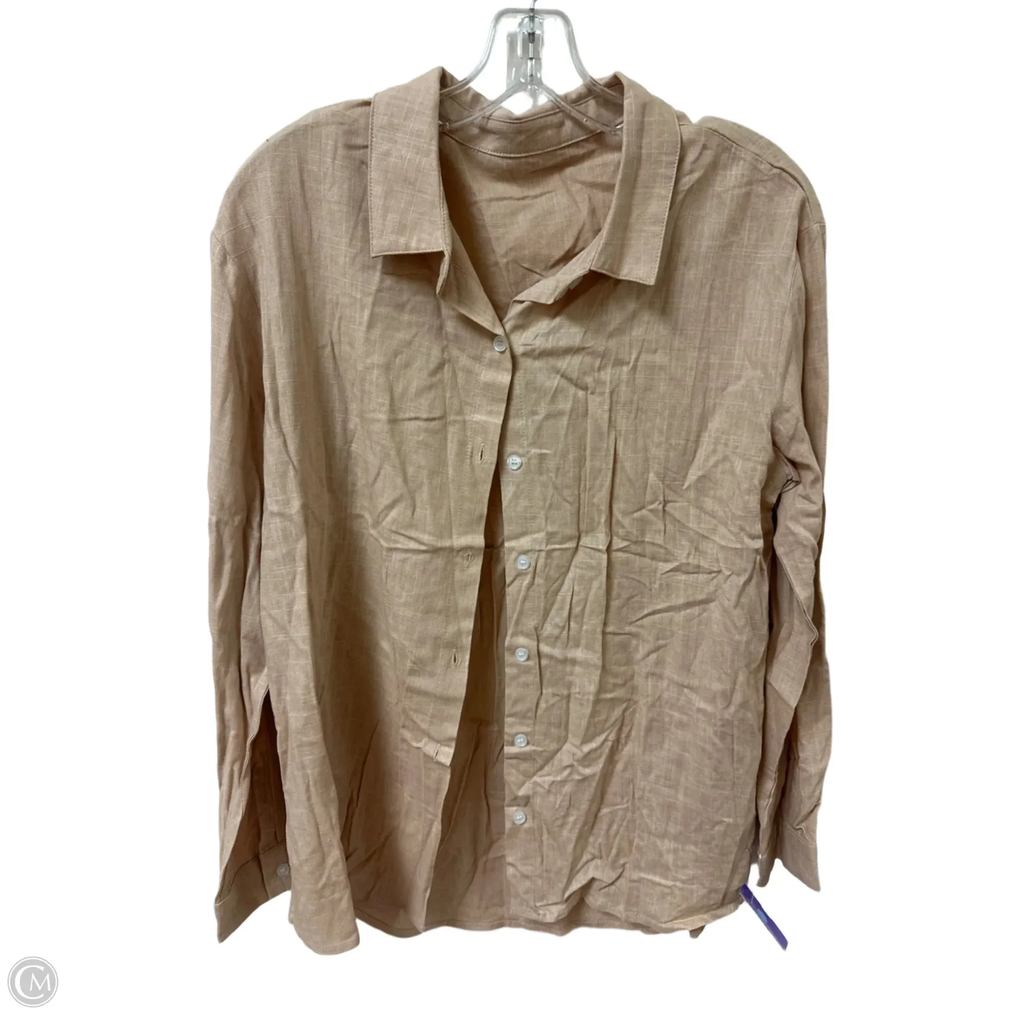 Blouse Long Sleeve By Clothes Mentor In Cream, Size: L